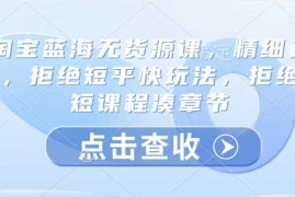 淘宝蓝海无货源课，精细运营，拒绝短平快玩法，拒绝简短课程凑章节