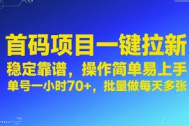 首码项目一键拉新，稳定靠谱，操作简单易上手，单号一小时70 ，批量做每天多张【揭秘】