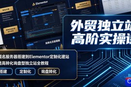外贸独立站高阶实操课｜从域名服务器搭建到Elementor定制化建站，打造高转化询盘型独立站全教程