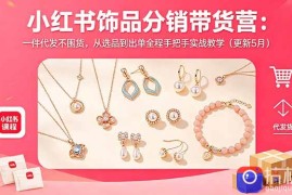 小红书饰品分销带货营：一件代发不囤货，从选品到出单全程手把手实战教学(更新5月