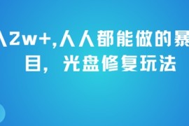 月入2w ，人人都能做的暴利项目，光盘修复玩法