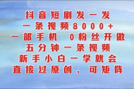 抖音短剧发一发，一条视频8000 ，五分钟一条视频，新手小白一学就会，只要一部手机…