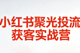 永曜·小红书聚光投流获客实战营