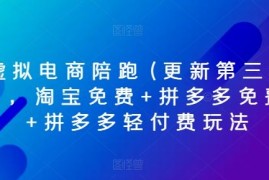 虚拟电商陪跑(更新第三期)，淘宝免费 拼多多免费 拼多多轻付费玩法