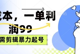 0成本，一单利润99元，无需剪辑暴力起号