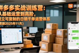 拼多多实战训练营：从基础运营到高阶，建立可复制的日销千单运营体系(更新11月