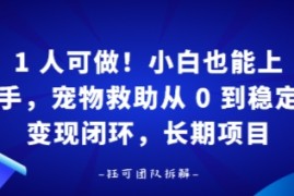 1人可做！小白也能上手，宠物救助从 0 到稳定变现闭环，长期项目
