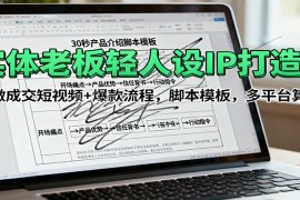 实体老板轻人设IP打造课：做成交短视频 爆款流程，脚本模板，多平台算法