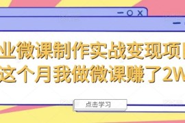 商业微课制作实战变现项目，这个月我做微课赚了2W 