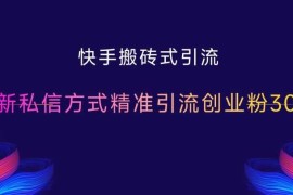 快手搬砖式引流，最新私信方式精准引流创业粉300 