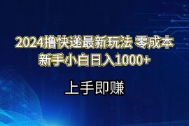 （11680期）2024撸快递最新玩法零成本新手小白日入1000 