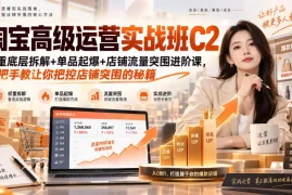 淘宝高级运营实战班C2｜权重底层拆解 单品起爆 店铺流量突围进阶课，手把手教让你把控店铺突围的秘籍