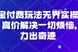 淘宝付费玩法无界实操课程，高价解决一切烦恼，大力出奇迹
