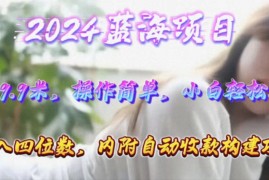 （10204期）年轻群体的蓝海市场，1单9.9元，操作简单，小白轻松上手，日入四位数