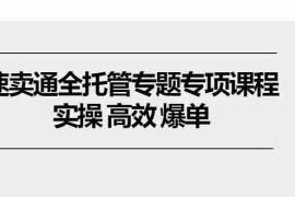 速卖通全托管专题专项课程，实操 高效 爆单（11节课）