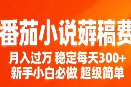 番茄小说赚稿费稳定300 每天，实操落地两年，新手小白必做，超级简单！