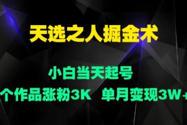 天选之人掘金术，小白当天起号，6个作品涨粉3000 