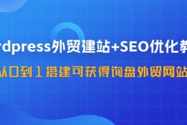 WordPress外贸建站 SEO优化教程，从0到1搭建可获得询盘外贸网站（57节课）