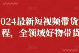 2024最新短视频带货课程，全领域好物带货