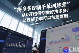 拼多多日销千单训练营，从0开始带你做好拼多多，让日销千单可以快速复制(更新26年5月)