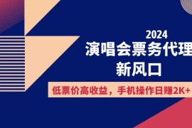 （12297期）2024演唱会票务代理新风口，低票价高收益，手机操作日赚2K 