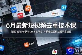 6月最新短视频去重技术课，适配可灵即梦快手Omni视频号，分镜底层重构规避平台查重
