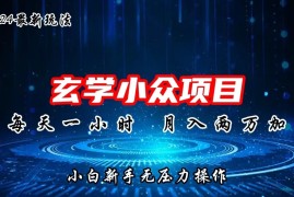 2024年新版玄学小众玩法项目，月入2W ，零门槛高利润，新手小白无压力操作