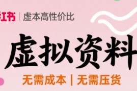 小红书虚拟资料，不需要成本压货，单价9.9