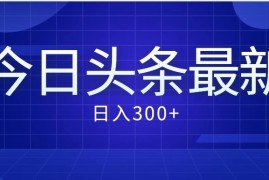 价值999的最新头条玩法，每天收入300 