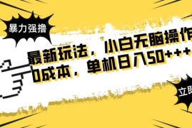 （14400期）最新玩法 广告暴力强撸 傻瓜式操作 无需养鸡 矩阵式操作 可无限放大 单…