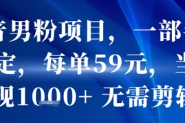抖音男粉项目，一部手机搞定，每单59米，当天变现1k  无需剪辑
