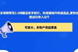 2024多多视频带货2.0玩法，利用工具快速选品出单