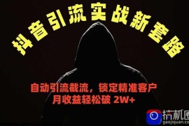 抖音引流实战新套路，挂机自动引流截流精准锁定客户，月收益破 2W 