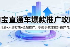 淘宝直通车爆款推广攻略：标准计划 人群打法 全站推广，手把手教你拉升投产与流量