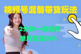 视频号混剪玩法，2分钟一条视频，单月变现2W 【揭秘】