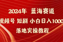 （9634期）2024年蓝海赛道视频号短剧 小白日入1000 落地实操教程