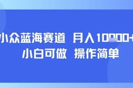 小众蓝海赛道，小白可做，操作简单，每天30分钟，月入1W 