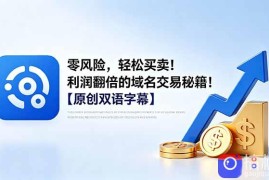 零风险，轻松买卖！利润翻倍的域名交易秘籍！【原创双语字幕】