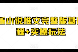 最新小说推文完整版基础课程 实操玩法
