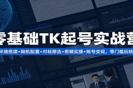 零基础TK起号实战营：环境搭建  刷机配置 对标筛选 剪辑实操 账号变现，零门槛玩转
