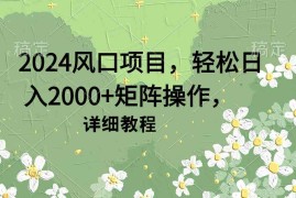 （9652期）2024风口项目，轻松日入2000 矩阵操作，详细教程