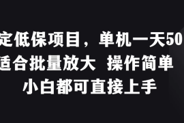 稳定低保项目，单机一天50＋适合批量放大，操作简单，小白都可直接上手