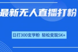 无人直播打粉，日打300玄学粉，轻松变现5k 