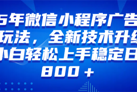 （14161期）微信小程序全自动挂机广告，纯小白易上手，稳定日入1000 ，技术全新升级，全网首发