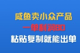 咸鱼卖小众产品，一单利润80，粘贴复制就能出单