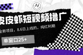 皮皮虾短视频撸广，单窗口收益25 ！