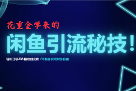 （12887期）花重金学来的闲鱼引流秘技！轻松日吸300 精准创业粉，每天躺赚5000 ，2…