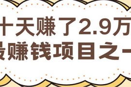 （12491期）闲鱼小红书赚钱项目之一，轻松月入6万 项目