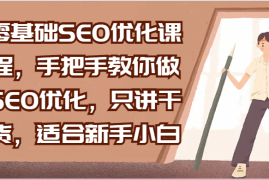 零基础SEO优化课程，手把手教你做SEO优化，只讲干货，适合新手小白