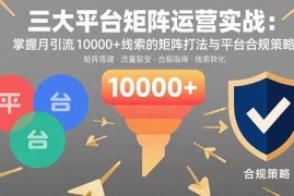 （15841期）三大平台矩阵运营实战：掌握月引流10000 线索的矩阵打法与平台合规策略
